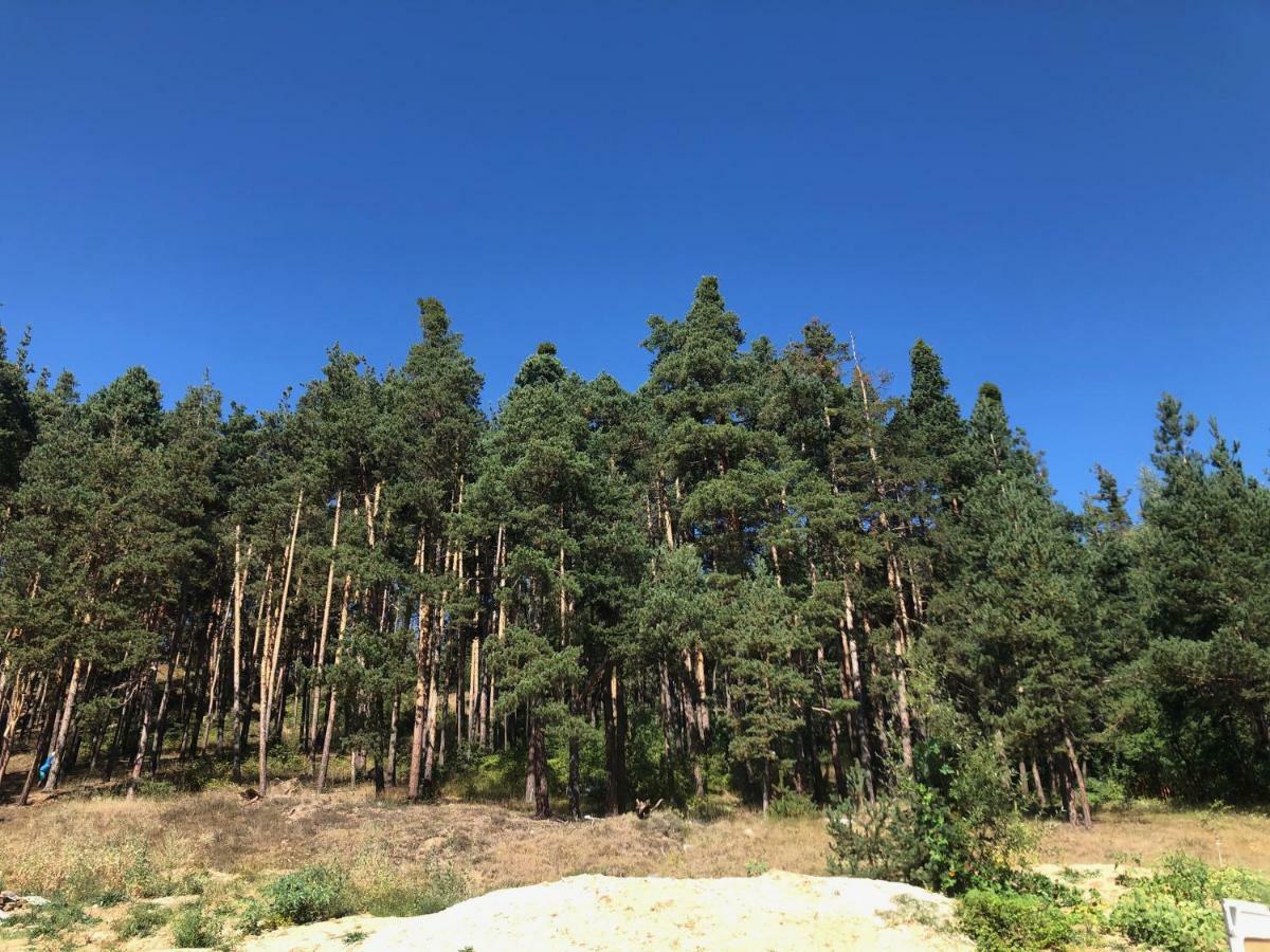 Borov Park 3 Apartment Velingrad Luaran gambar