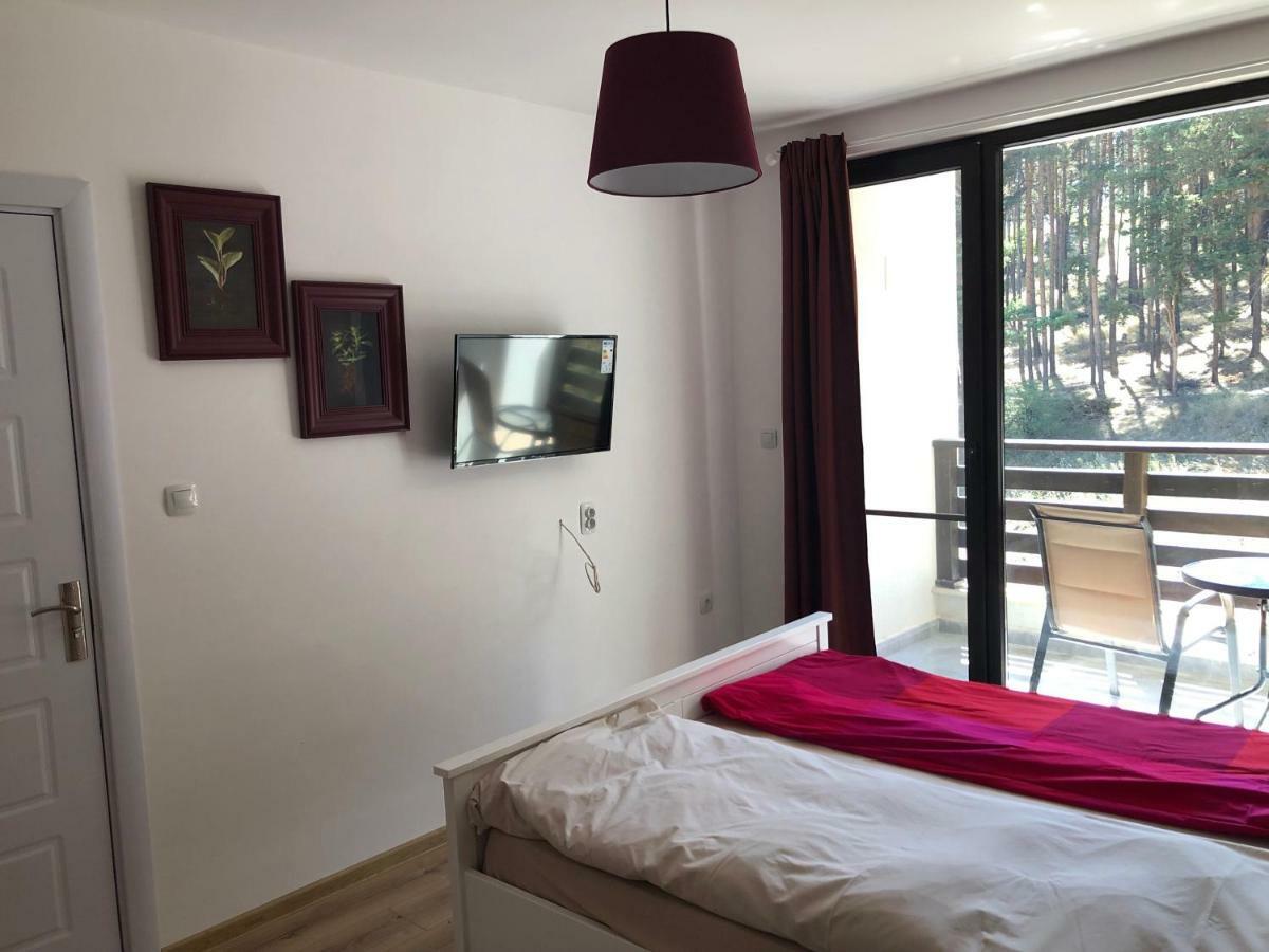 Borov Park 3 Apartment Velingrad Luaran gambar