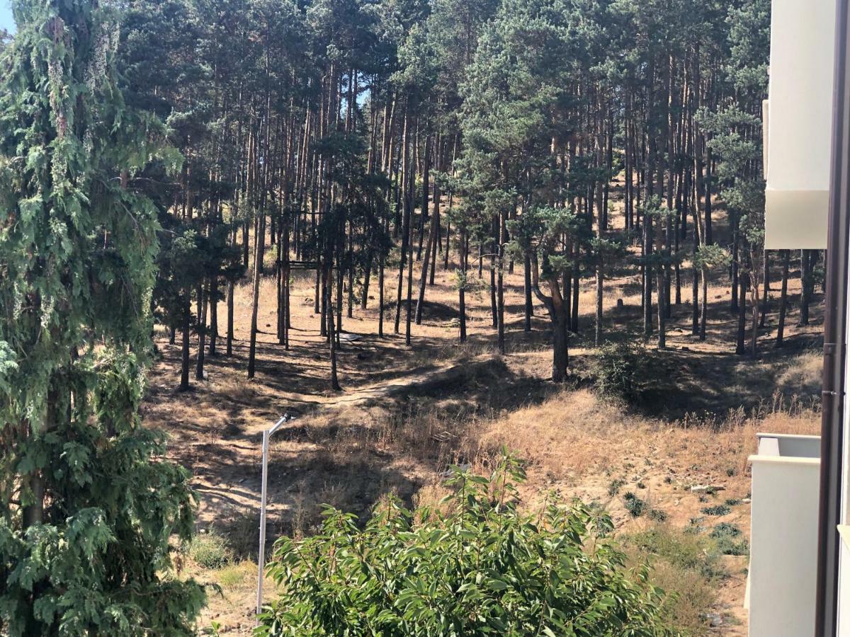 Borov Park 3 Apartment Velingrad Luaran gambar