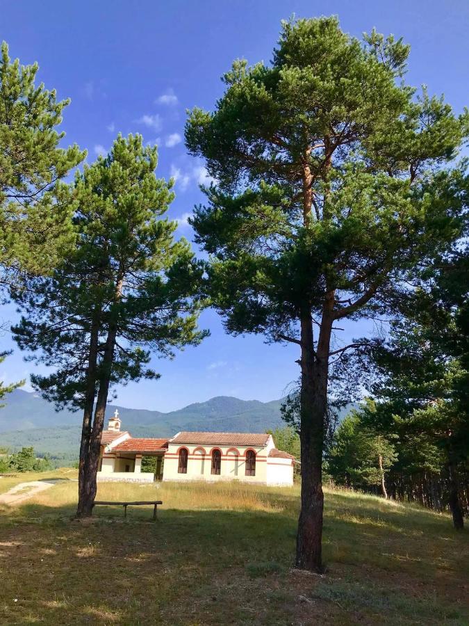 Borov Park 3 Apartment Velingrad Luaran gambar